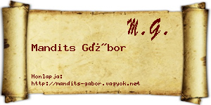 Mandits Gábor névjegykártya