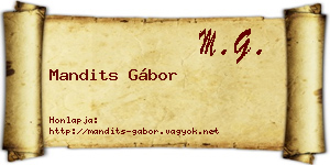 Mandits Gábor névjegykártya